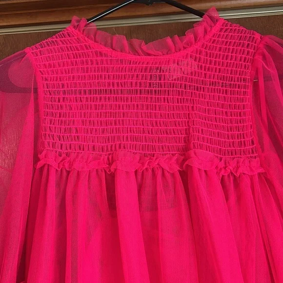 Sheer Pink Dress🩷 - Picture 4 of 5